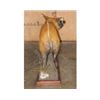 Image 9 : Life-sized RED RIVER HOG on a Wood Base
