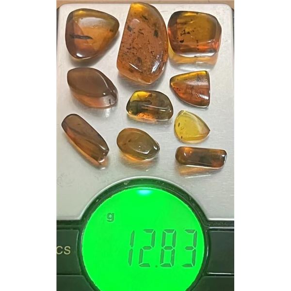 (10) Pieces of Authentic Myanmar AMBER Fossil Insect and Plant Specimens, Weight: 12.83 g