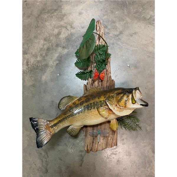 *Real Skin* BASS Fish Mounted on a Habitat Base
