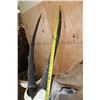 Image 11 : Massive XXL GEMSBOK Pedestal Mount with 4 Gemsbok Hide Panels