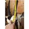 Image 12 : Massive XXL GEMSBOK Pedestal Mount with 4 Gemsbok Hide Panels