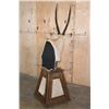 Image 7 : Massive XXL GEMSBOK Pedestal Mount with 4 Gemsbok Hide Panels