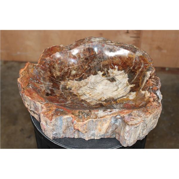 Big Arizona Rainbow PETRIFIED WOOD Bowl or Basin, Weight: 25 lbs