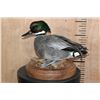 Image 1 : FALCATED TEAL DUCK on a Decorative Wood Base