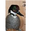 Image 4 : FALCATED TEAL DUCK on a Decorative Wood Base