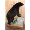 Image 4 : Life-sized BLACK BEAR with All its Claws on a Wood Base with Wheels