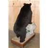 Image 5 : Life-sized BLACK BEAR with All its Claws on a Wood Base with Wheels
