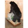 Image 6 : Life-sized BLACK BEAR with All its Claws on a Wood Base with Wheels