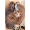 Image 6 : XL BUFFALO or BISON Shoulder Mount