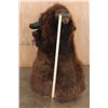 Image 9 : XL BUFFALO or BISON Shoulder Mount