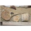Image 5 : 2 XXL Fully Rooted MOSASAUR Teeth Fossils with Vertebrae Bones in a Fossil Matrix