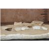 Image 7 : 2 XXL Fully Rooted MOSASAUR Teeth Fossils with Vertebrae Bones in a Fossil Matrix