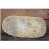 Image 8 : 2 XXL Fully Rooted MOSASAUR Teeth Fossils with Vertebrae Bones in a Fossil Matrix