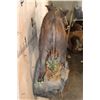 Image 8 : Life-sized BUSHPIG on a Rocky Wall Hanging Base