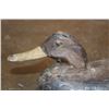 Image 3 : Antique Wooden DUCK DECOY with a Brass Tack Eye and Iron Nails