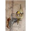 Image 2 : YELLOW GOLDEN PHEASANT on a Natural Wood Perch and Plaque