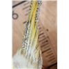 Image 5 : YELLOW GOLDEN PHEASANT on a Natural Wood Perch and Plaque