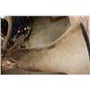 Image 10 : XXL 17-Point ELK Shoulder Mount