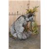Image 2 : Life-sized SILVER FOX on a Decorative Base