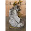 Image 9 : Life-sized SILVER FOX on a Decorative Base