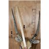 Image 8 : *TEXAS RESIDENTS ONLY* RED LECHWE Wall Pedestal Mount