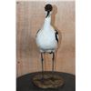 Image 4 : PIED AVOCET Bird Mounted on a Wood Base