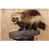 Image 1 : Life-sized WOLVERINE on a Rocky Base