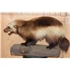 Image 2 : Life-sized WOLVERINE on a Rocky Base