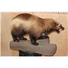 Image 7 : Life-sized WOLVERINE on a Rocky Base