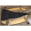 Image 11 : XXL 14' 9" Long CROCODILE HIDE or CROCODILE RUG with its Mounted Head and Claws