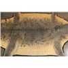 Image 7 : XXL 14' 9" Long CROCODILE HIDE or CROCODILE RUG with its Mounted Head and Claws