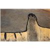 Image 9 : XXL 14' 9" Long CROCODILE HIDE or CROCODILE RUG with its Mounted Head and Claws
