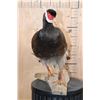 Image 6 : BROWN-EARED PHEASANT on a Natural Branch Perch