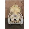 Image 1 : XXL HIPPOPOTAMUS Skull with Massive *Real Ivory Tusks*