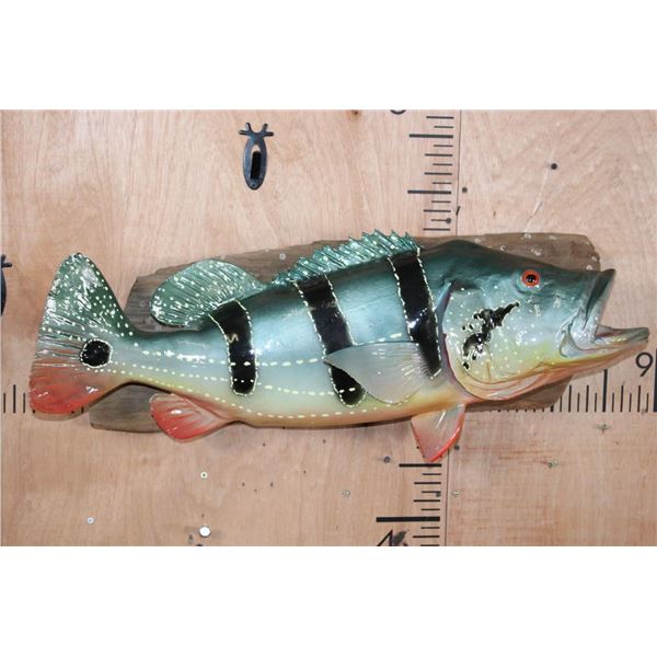 Big Reproduction PEACOCK BASS Fish Mounted on a Wood Wall Hanger