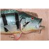 Image 4 : Big Reproduction PEACOCK BASS Fish Mounted on a Wood Wall Hanger