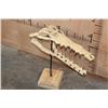 Image 1 : Fossilized CROCODILIAN Skull on a Custom Metal and Wood Stand