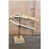 Image 2 : Fossilized CROCODILIAN Skull on a Custom Metal and Wood Stand