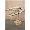 Image 6 : Fossilized CROCODILIAN Skull on a Custom Metal and Wood Stand