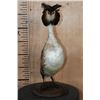 Image 1 : GREAT CRESTED GREBE Bird Mounted on a Wood Base