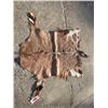 Image 4 : Large AFRICAN NYALA Hide or NYALA SKIN