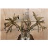 Image 2 : Massive Non-Typical WHITETAIL DEER Shoulder Mount with *Real Antlers* with over 70-Points
