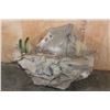 Image 1 : Desert Rock Wall Hanging Base for Lot 131
