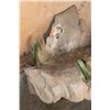 Image 4 : Desert Rock Wall Hanging Base for Lot 131