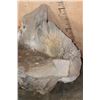 Image 5 : Desert Rock Wall Hanging Base for Lot 131