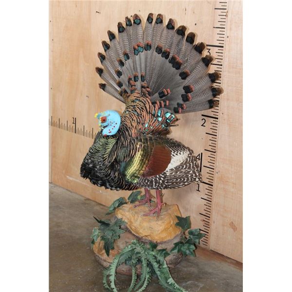 Life-sized Strutting Oscillated TURKEY on a Lightweight Foam Base