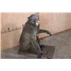 Image 3 : Life-sized BABOON on a Wooden Base