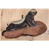 Image 1 : Life-sized HONEY BADGER on a Rock Wall Base