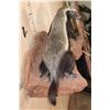 Image 5 : Life-sized HONEY BADGER on a Rock Wall Base