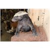 Image 7 : Life-sized HONEY BADGER on a Rock Wall Base